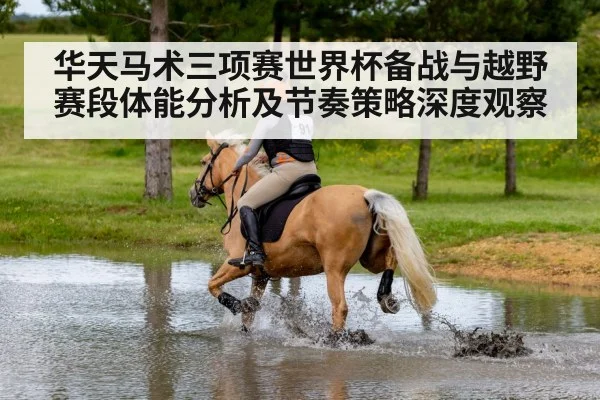 华天马术三项赛世界杯备战与越野赛段体能分析及节奏策略深度观察